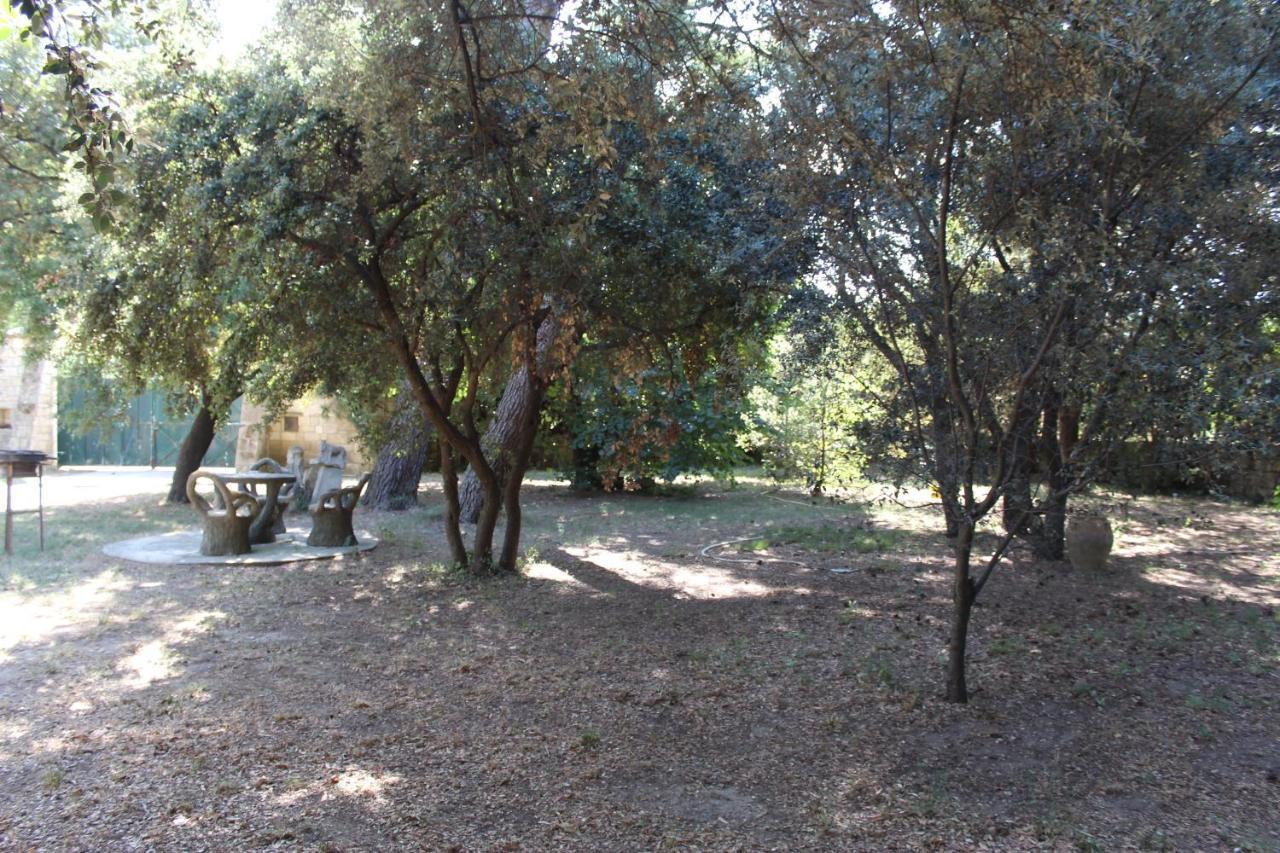 Le Mas De Lucien Entre Arles, Nimes, Avignon. بوكير المظهر الخارجي الصورة
