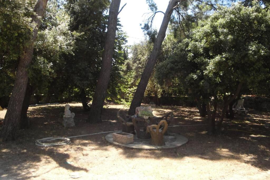 Le Mas De Lucien Entre Arles, Nimes, Avignon. بوكير المظهر الخارجي الصورة